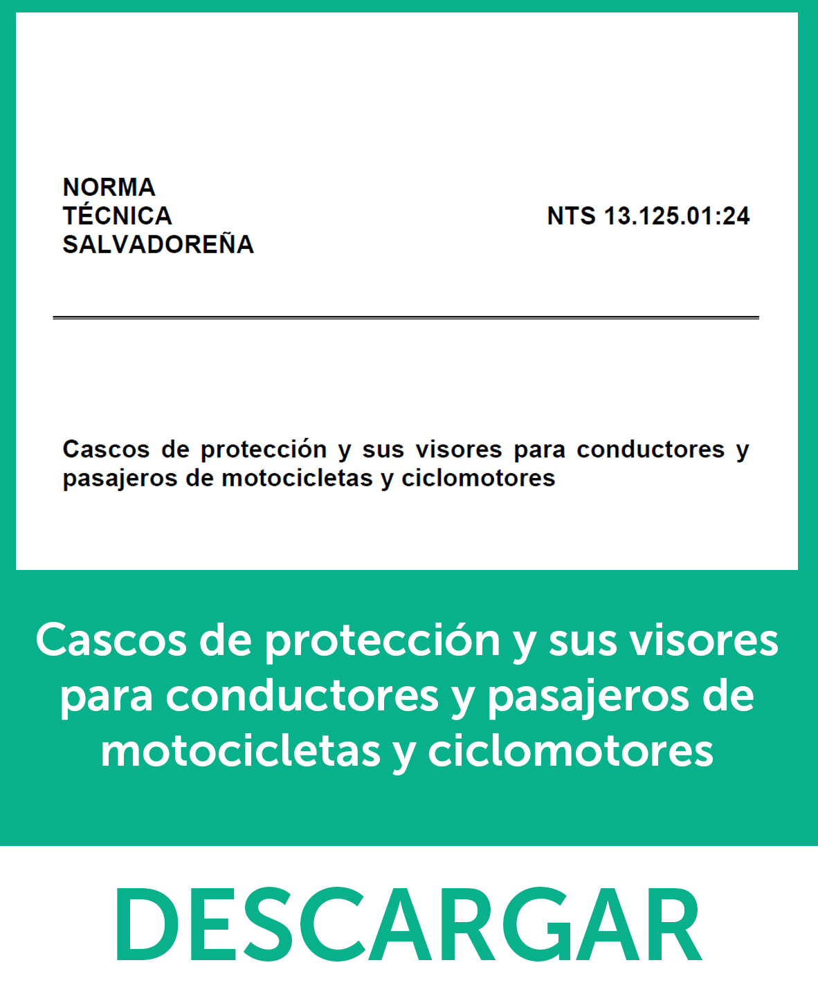 Cascos de protección y sus visores para conductores y pasajeros de motocicletas y ciclomotores